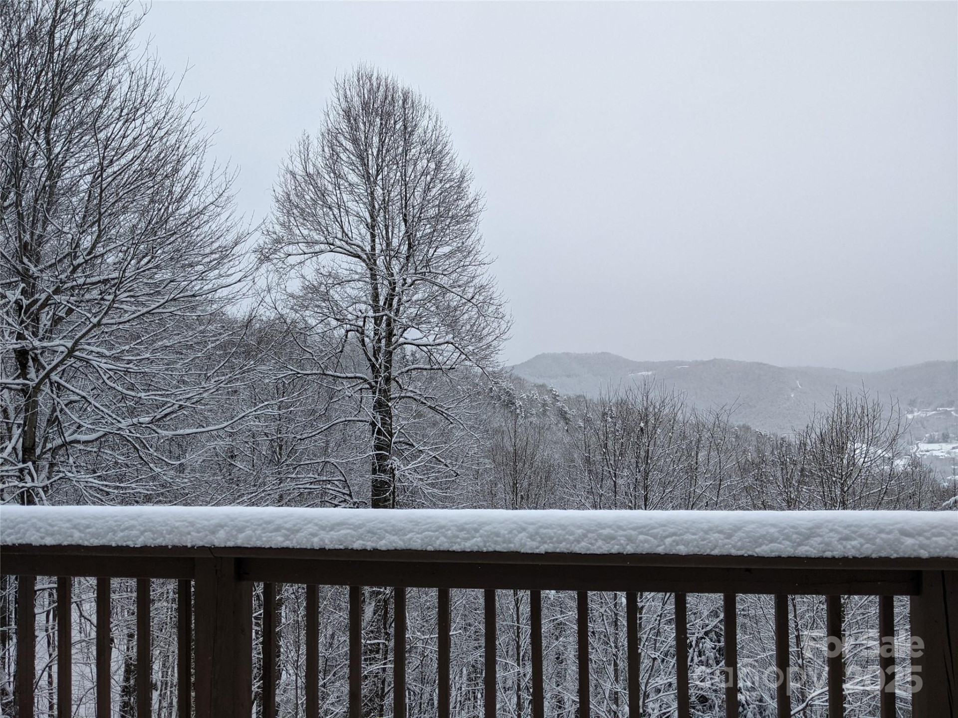 1299 Pine Ridge Road - Photo 34