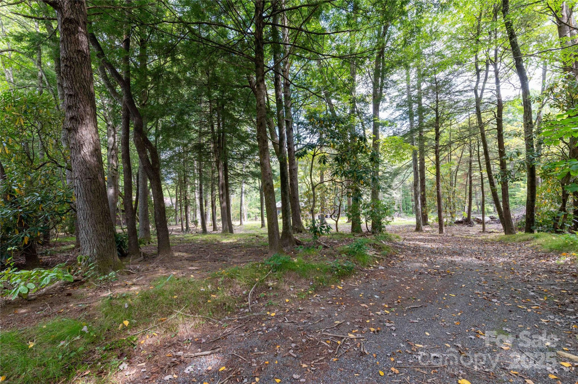 188 Sweetwater Ridge - Photo 12