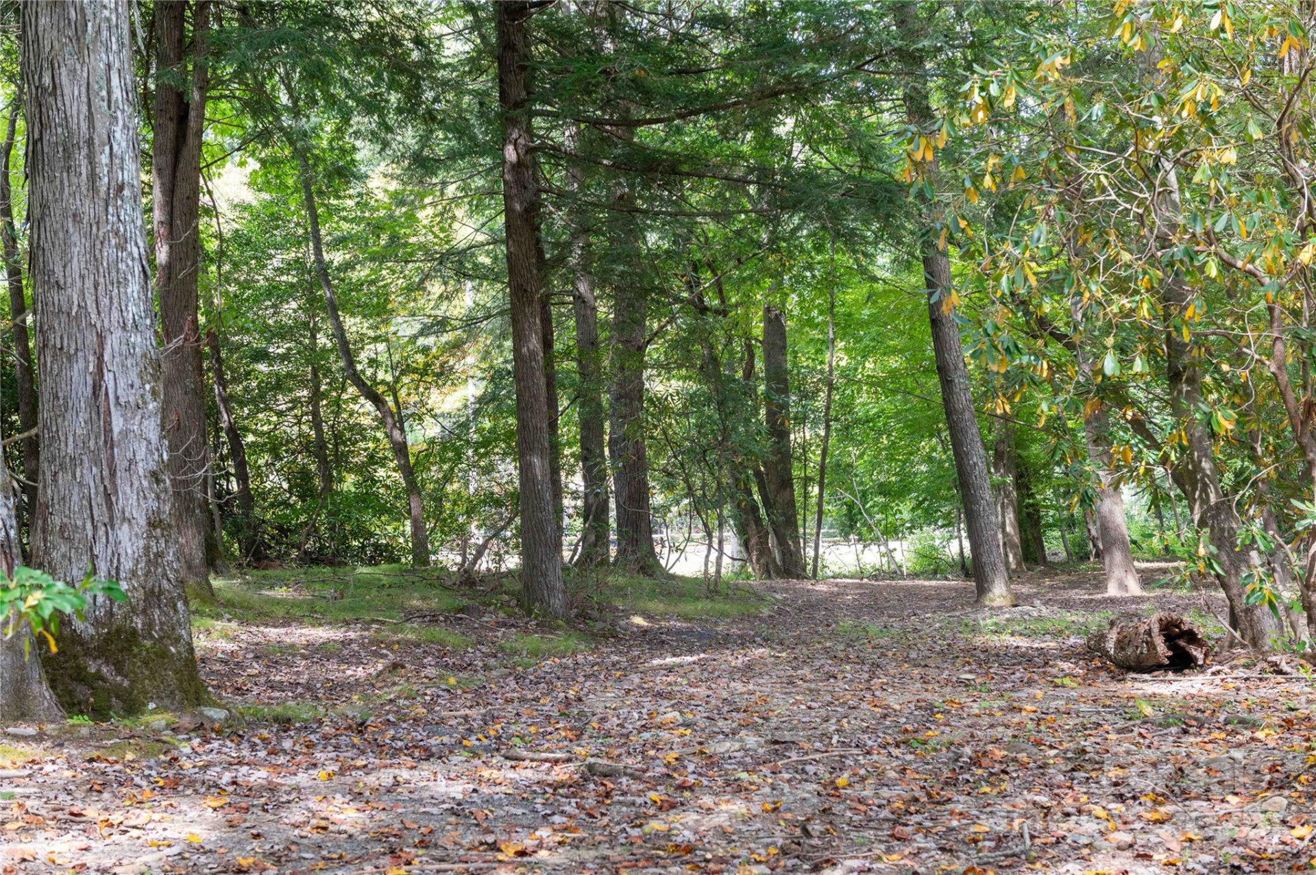 188 Sweetwater Ridge - Photo 6