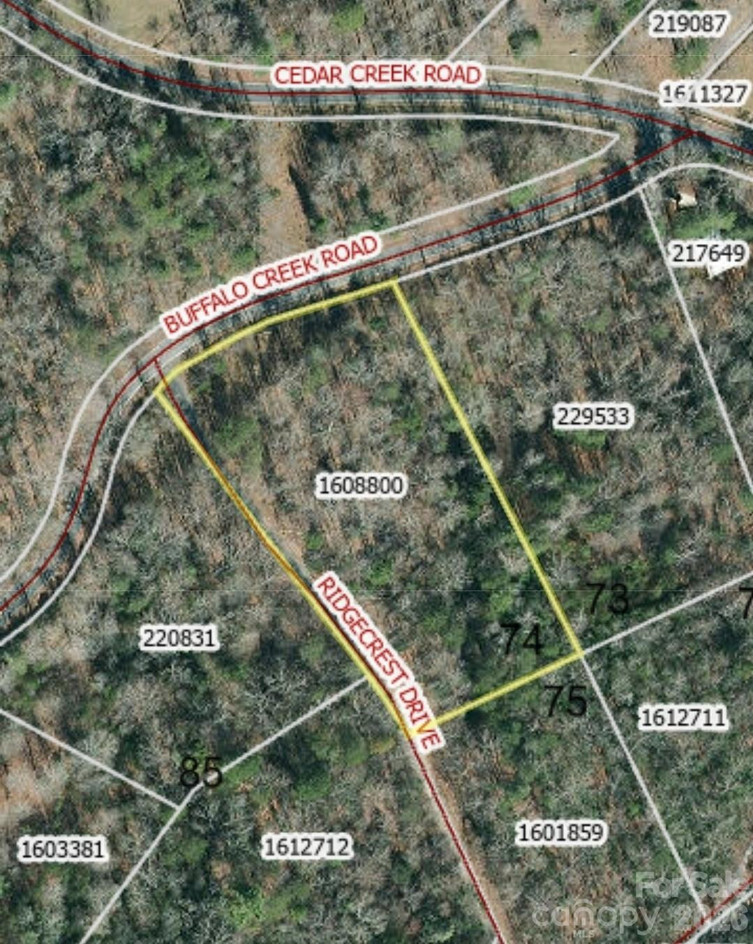 0 Buffalo Creek Road #74 - Photo 3