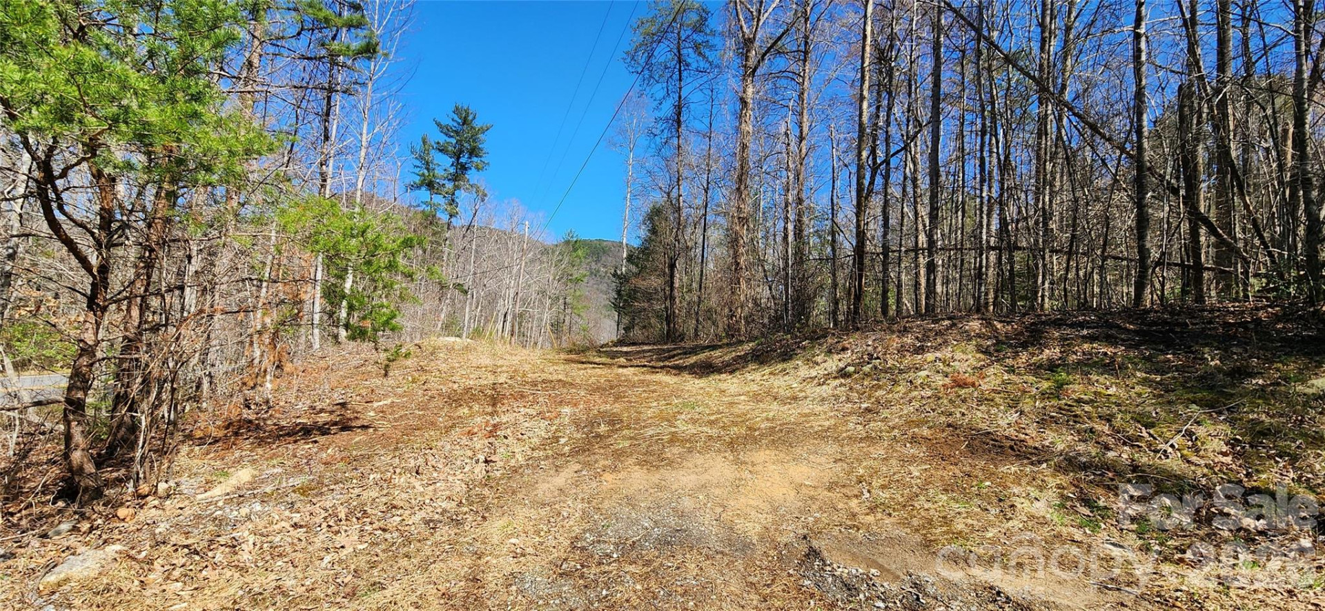 0 Buffalo Creek Road #74 - Photo 16