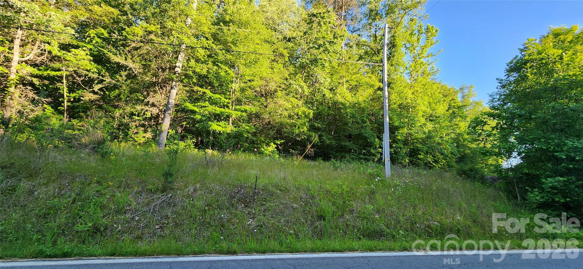 0 Buffalo Creek Road #74 - Photo 18