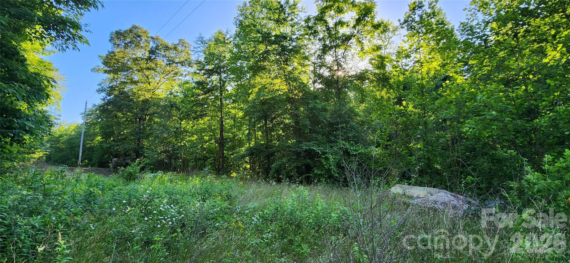 0 Buffalo Creek Road #74 - Photo 19