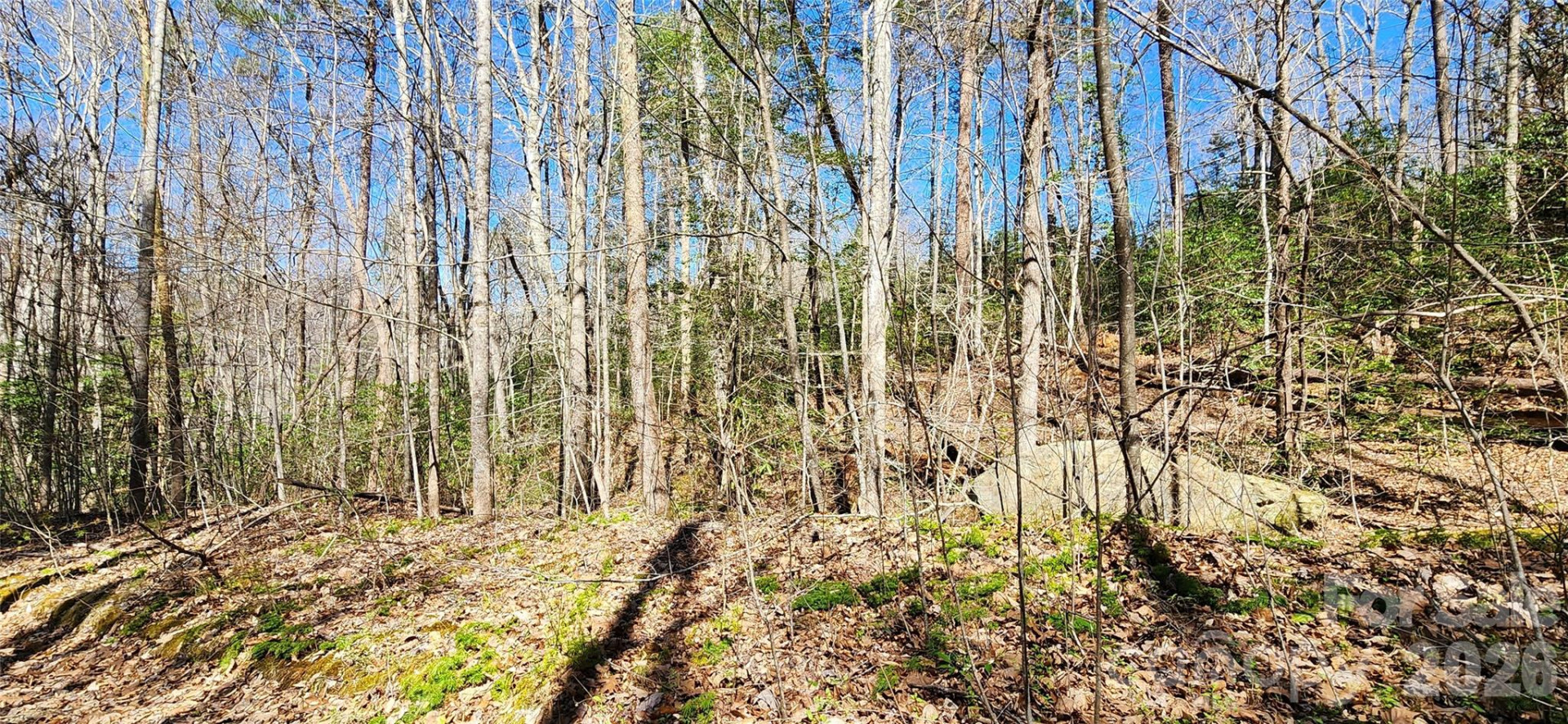 0 Buffalo Creek Road #74 - Photo 23