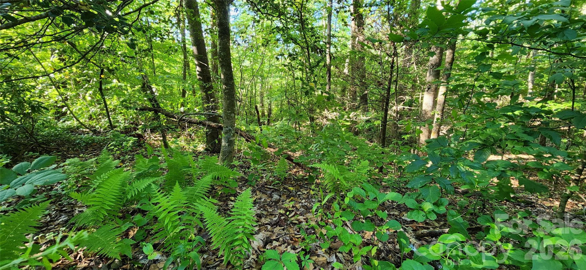 0 Buffalo Creek Road #74 - Photo 25