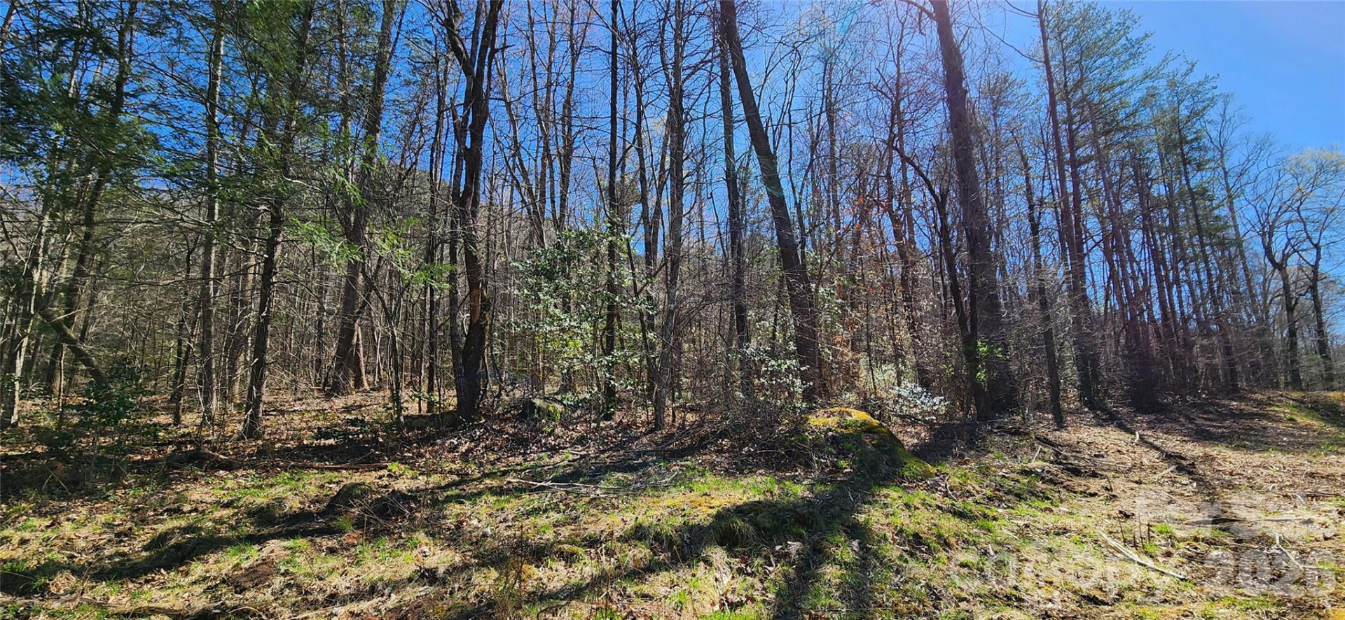 0 Buffalo Creek Road #74 - Photo 26