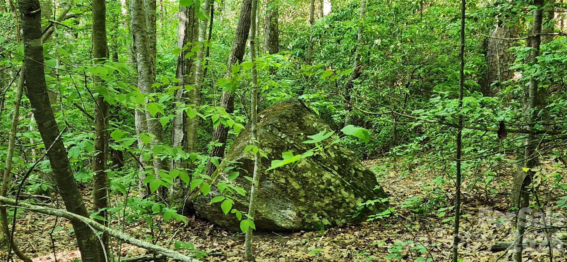 0 Buffalo Creek Road #74 - Photo 28