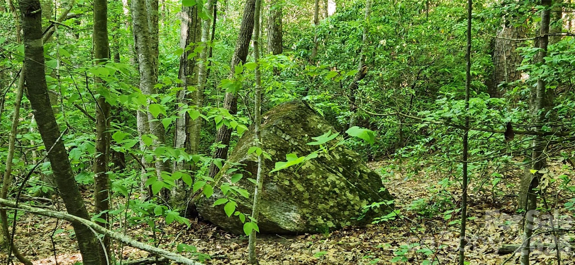 0 Buffalo Creek Road #74 - Photo 28