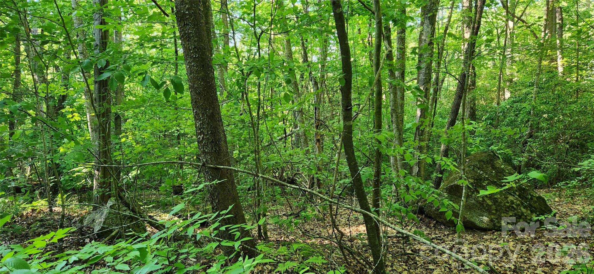 0 Buffalo Creek Road #74 - Photo 29