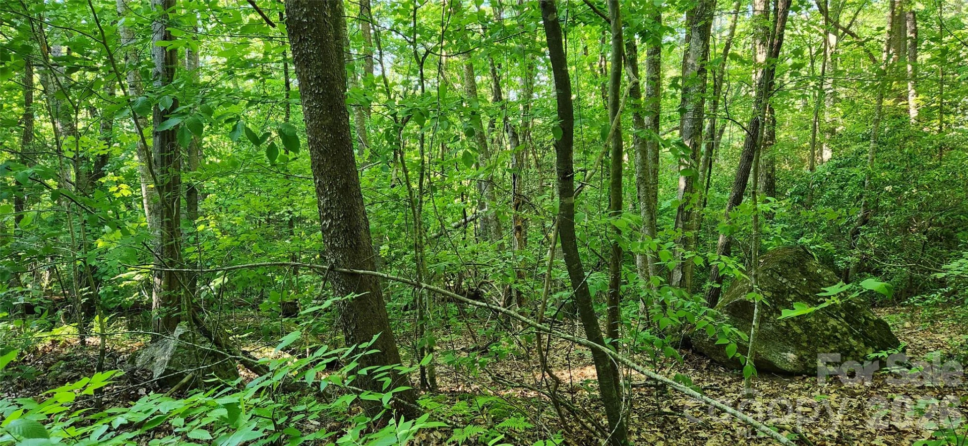 0 Buffalo Creek Road #74 - Photo 29