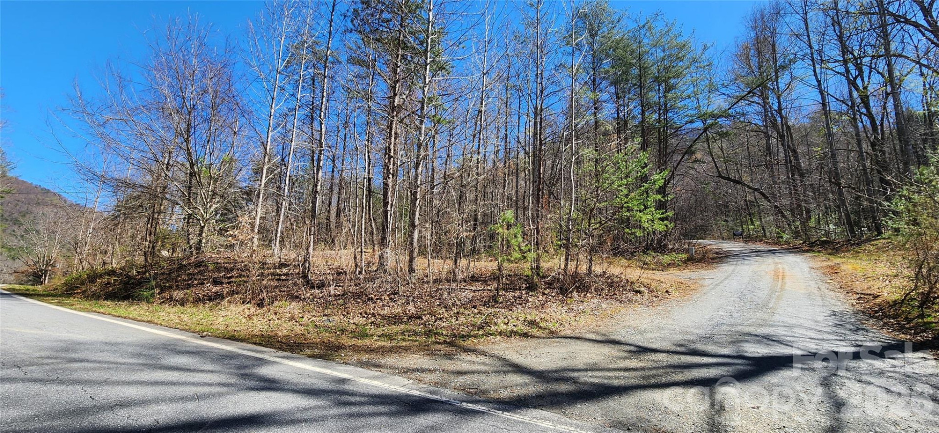 0 Buffalo Creek Road #74 - Photo 4