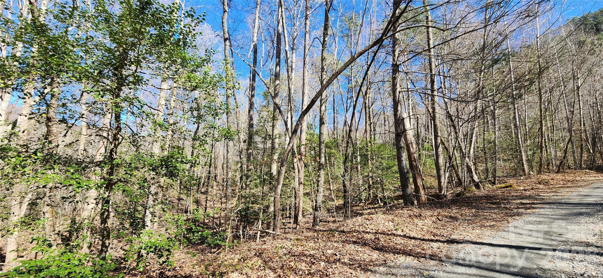 0 Buffalo Creek Road #74 - Photo 36