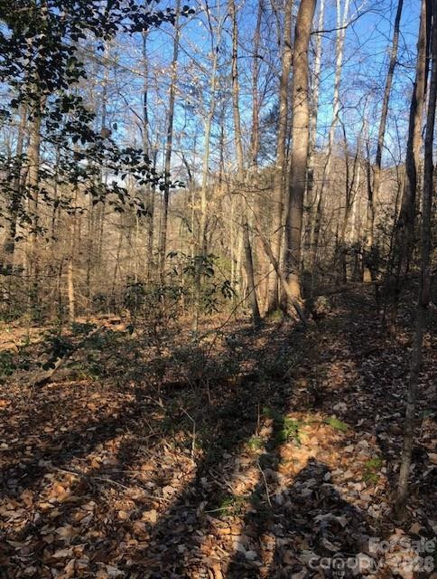 0 Buffalo Creek Road #74 - Photo 38