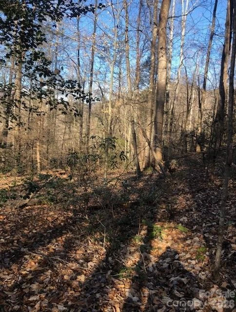 0 Buffalo Creek Road #74 - Photo 38