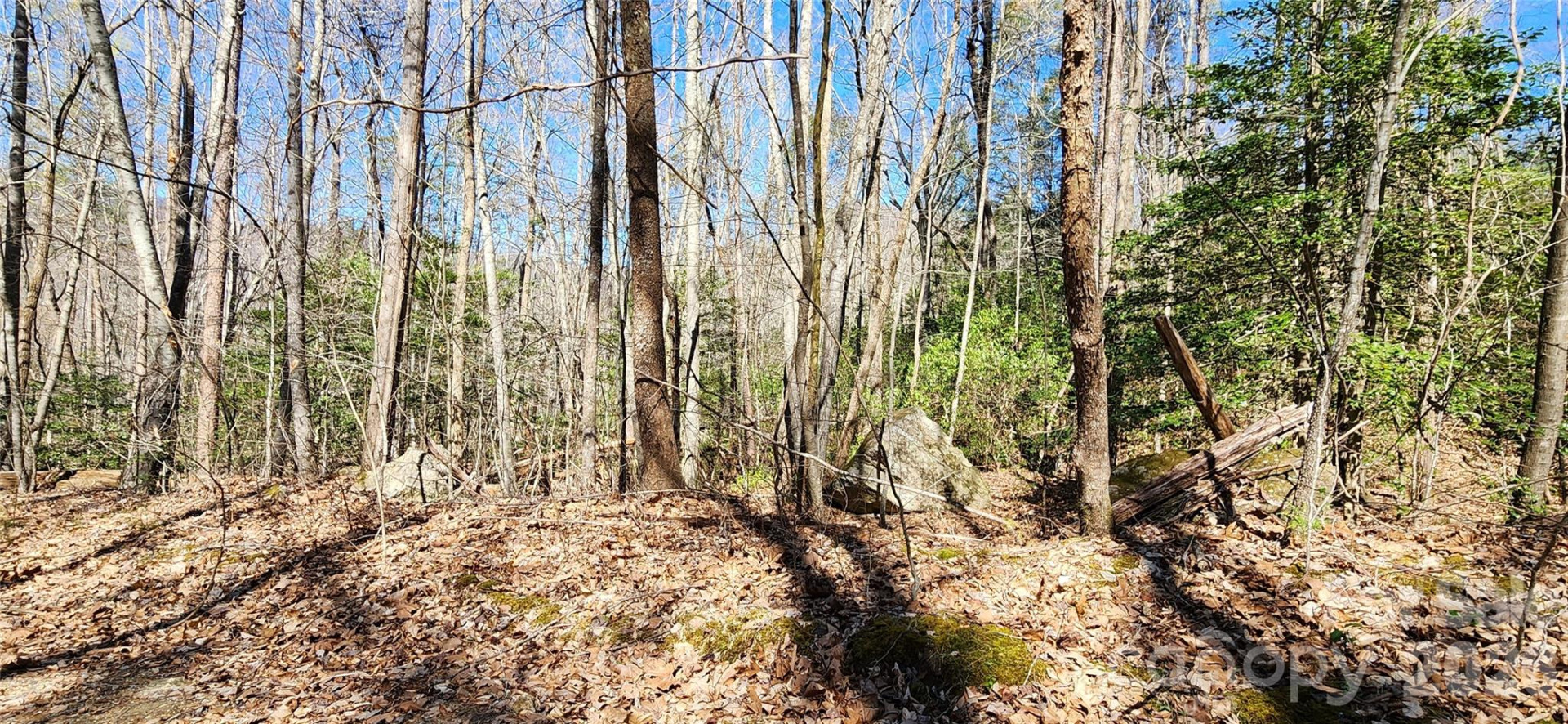 0 Buffalo Creek Road #74 - Photo 39