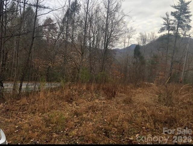 0 Buffalo Creek Road #74 - Photo 41