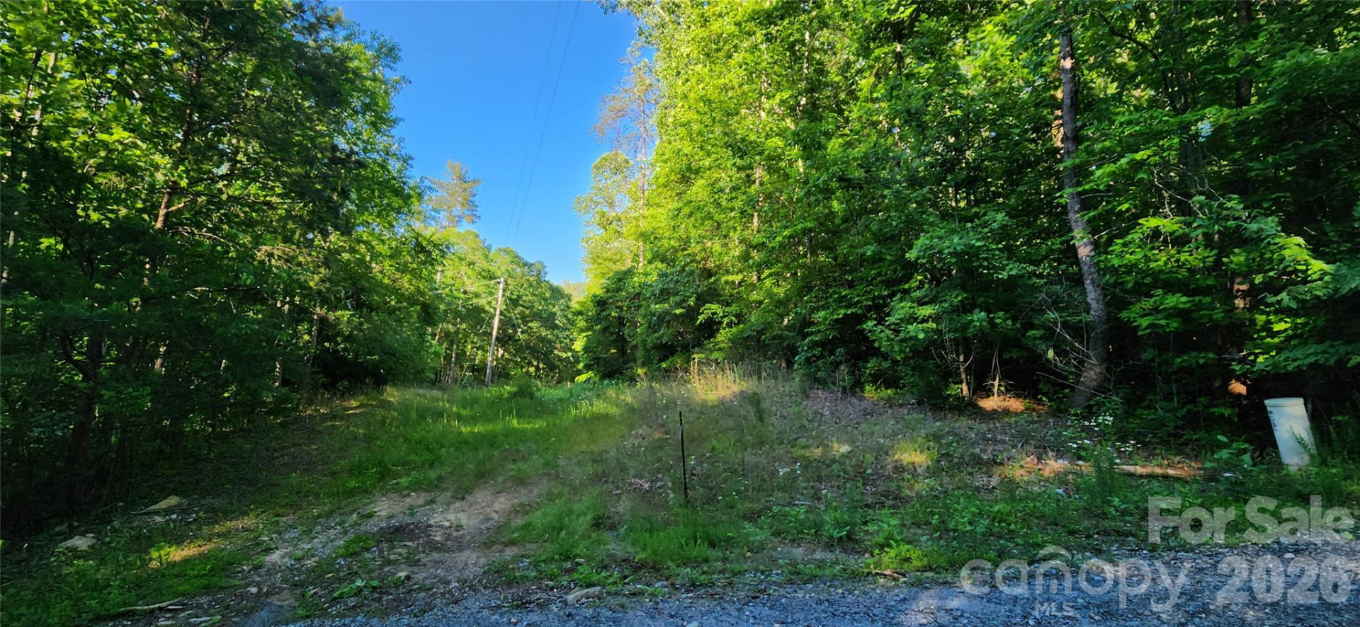 0 Buffalo Creek Road #74 - Photo 6