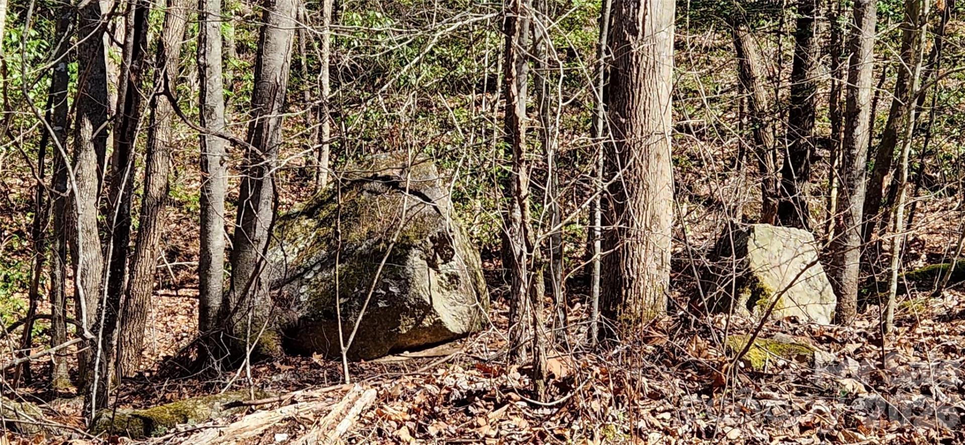 0 Buffalo Creek Road #74 - Photo 45