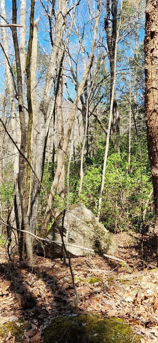 0 Buffalo Creek Road #74 - Photo 46