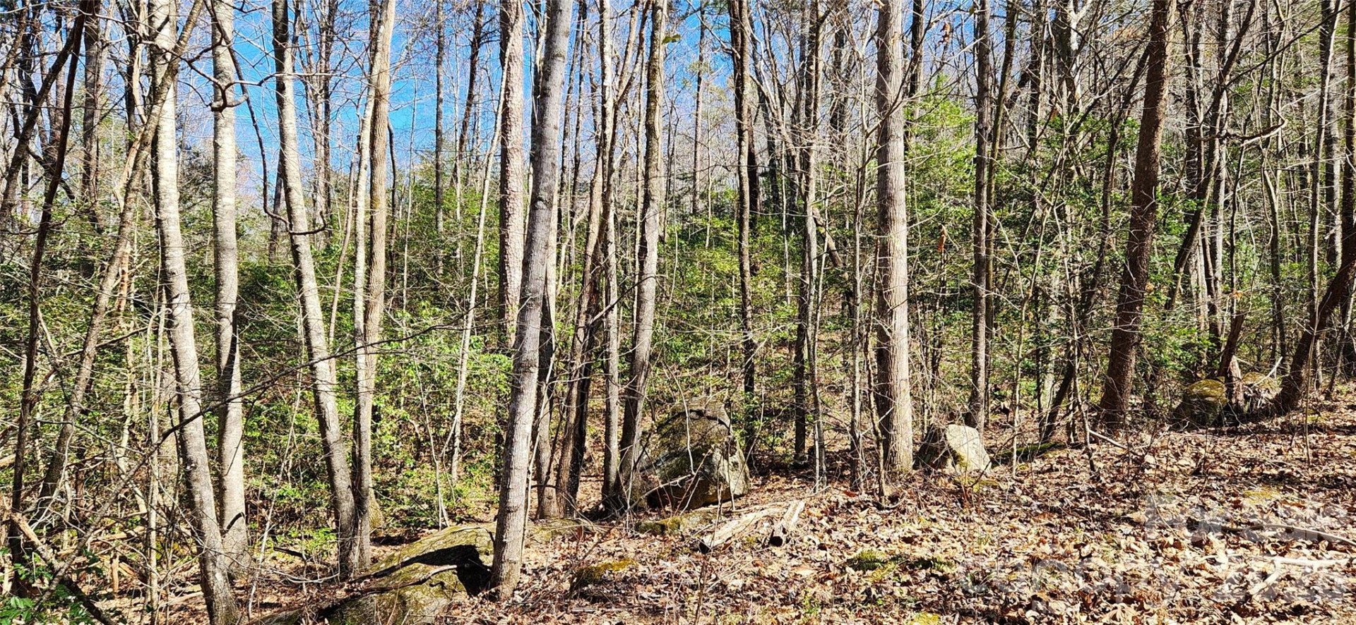 0 Buffalo Creek Road #74 - Photo 47