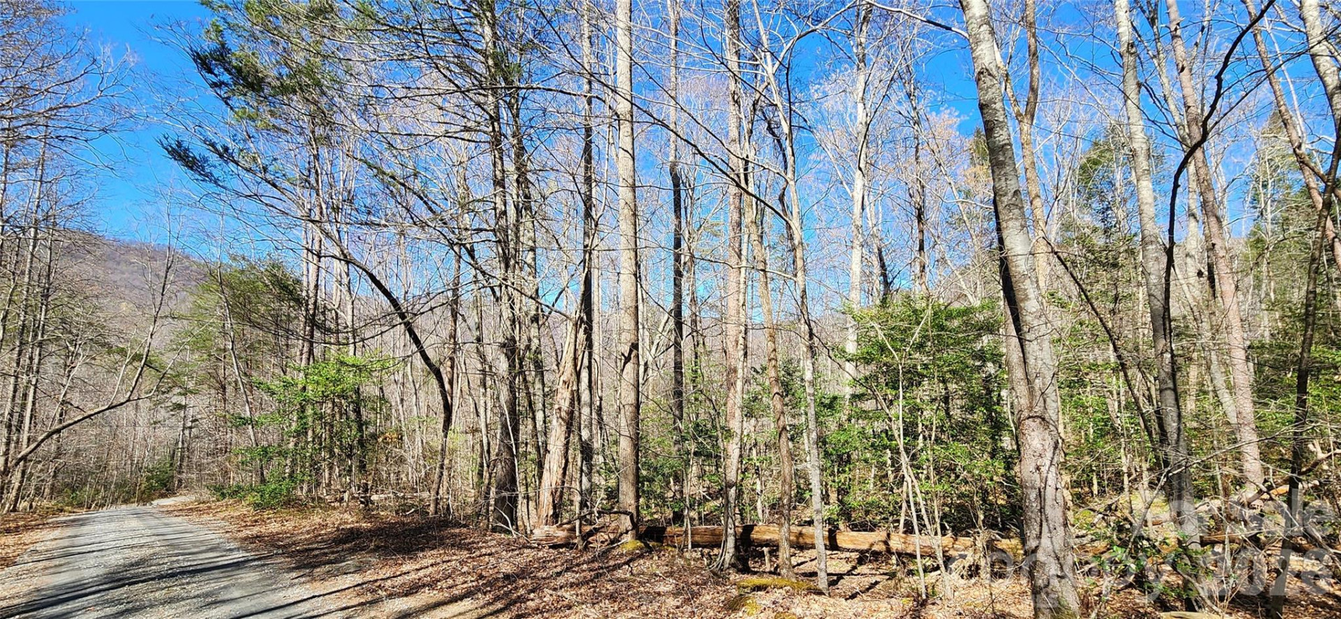 0 Buffalo Creek Road #74 - Photo 48