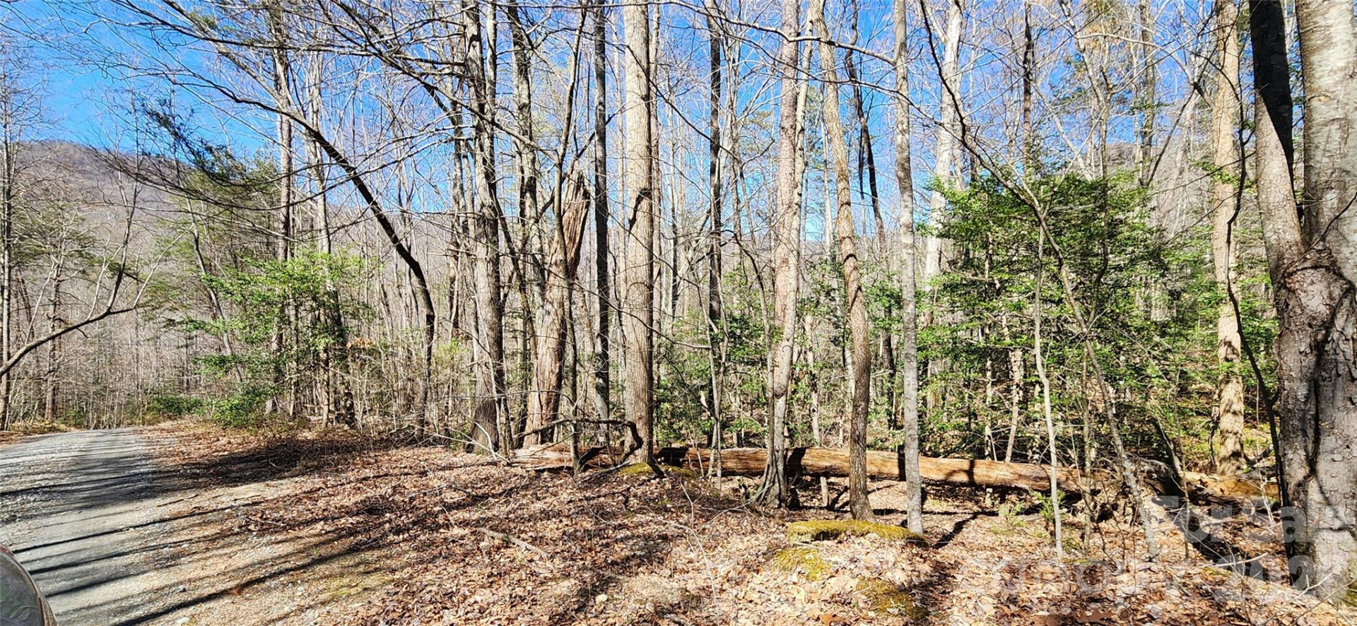 0 Buffalo Creek Road #74 - Photo 50