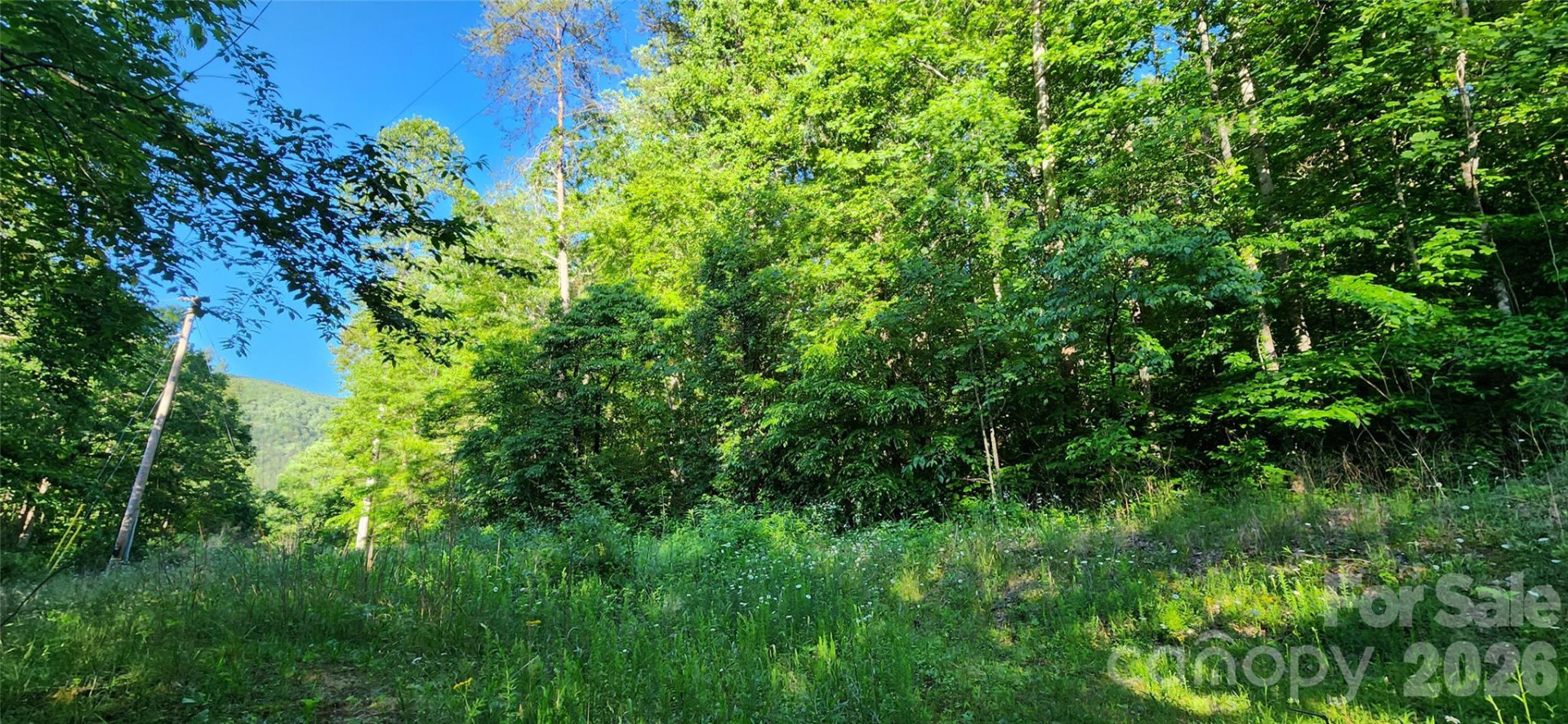 0 Buffalo Creek Road #74 - Photo 9