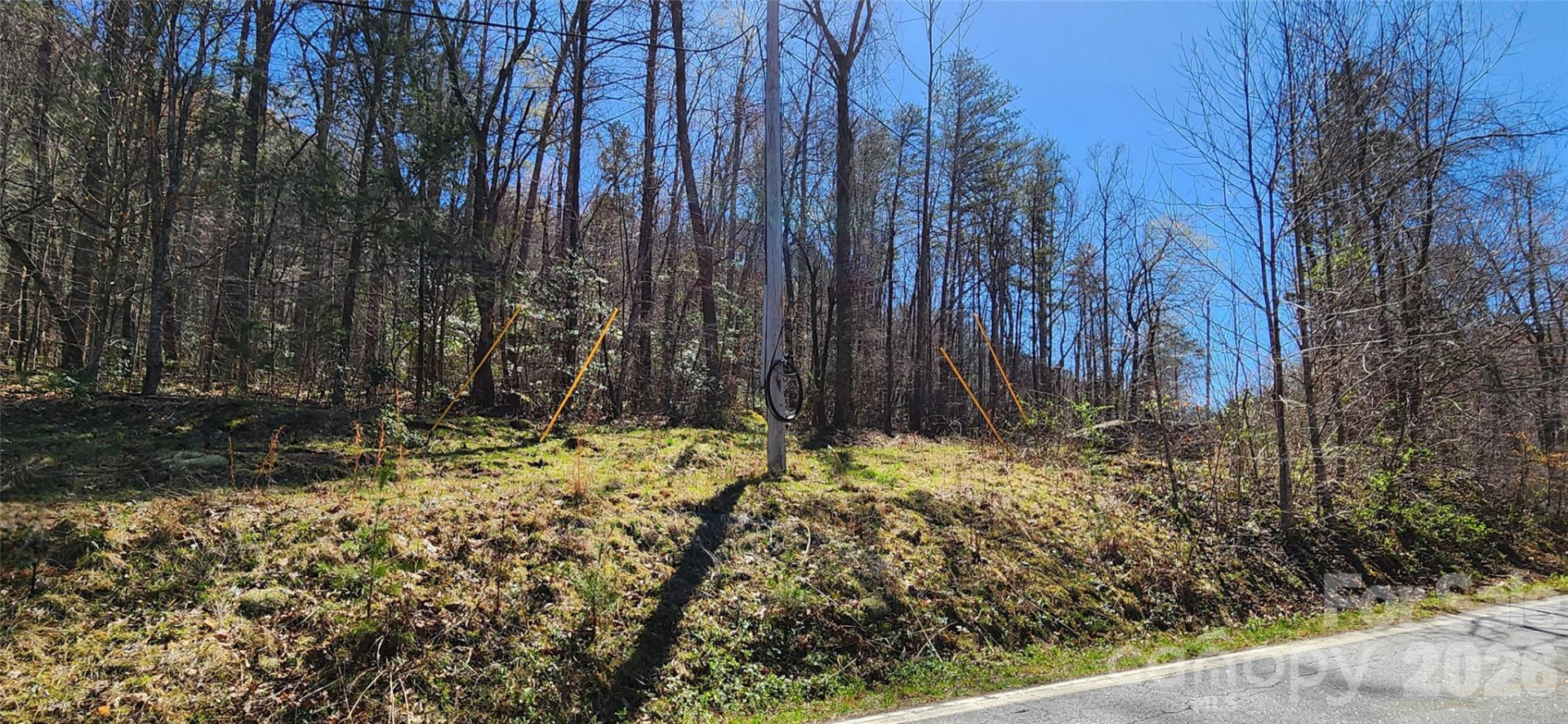 0 Buffalo Creek Road #74 - Photo 10