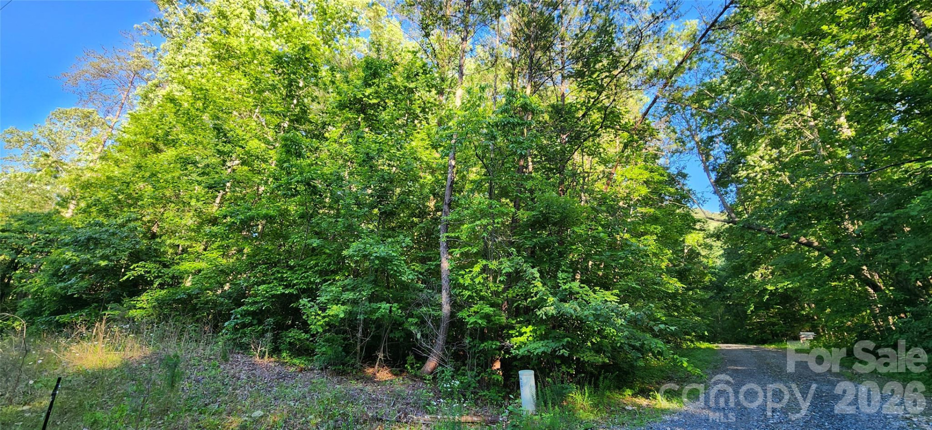 0 Buffalo Creek Road #74 - Photo 14