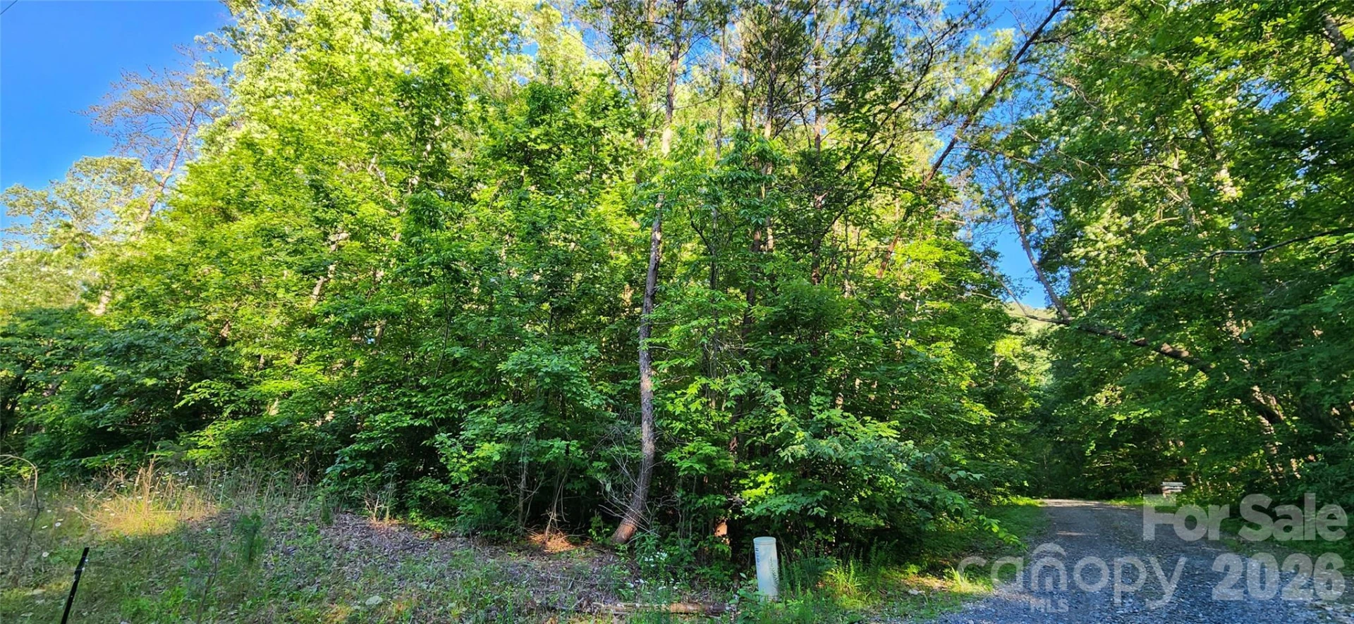 0 Buffalo Creek Road #74 - Photo 14
