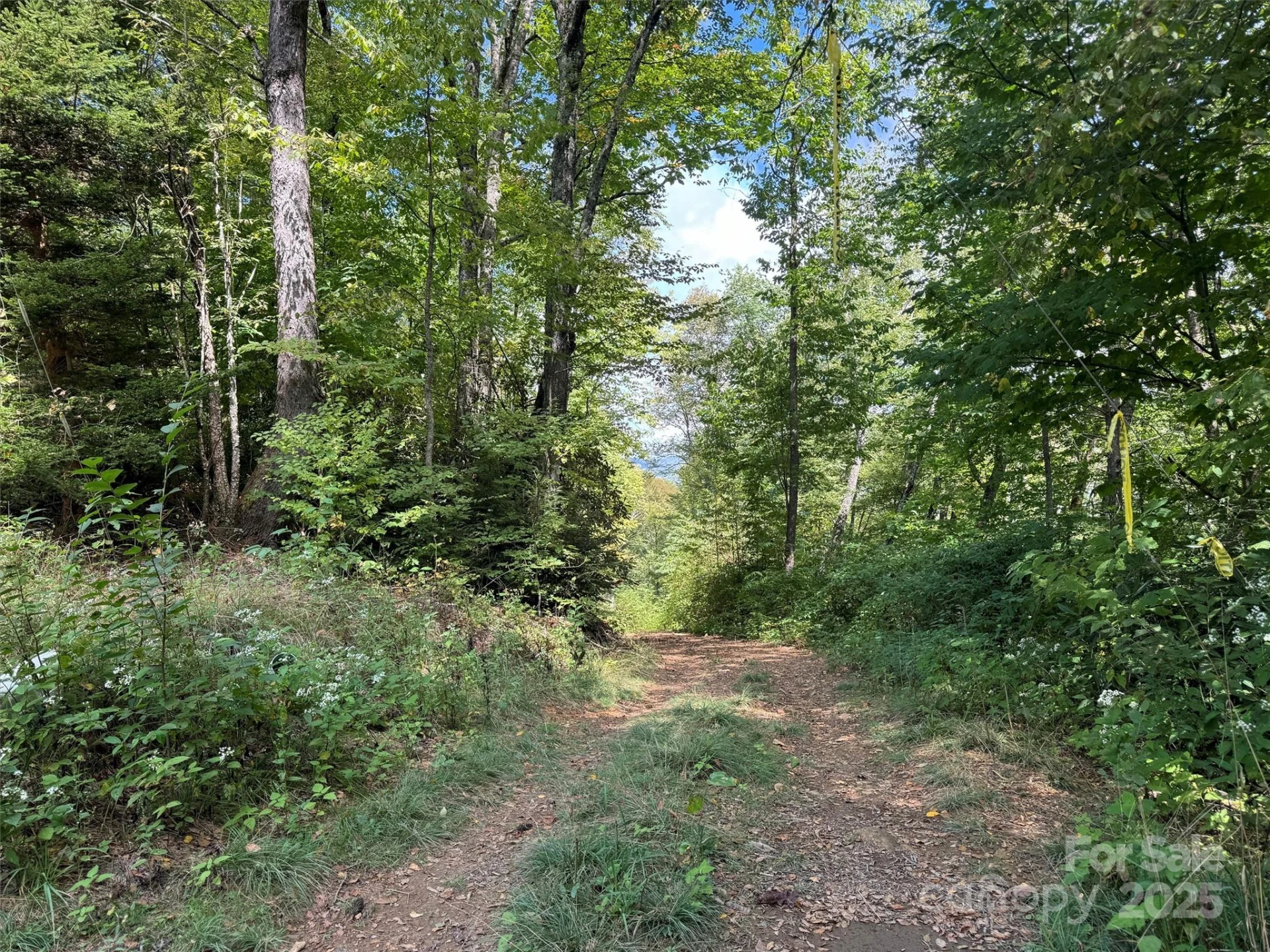 2 Black Rock Road - Photo 5