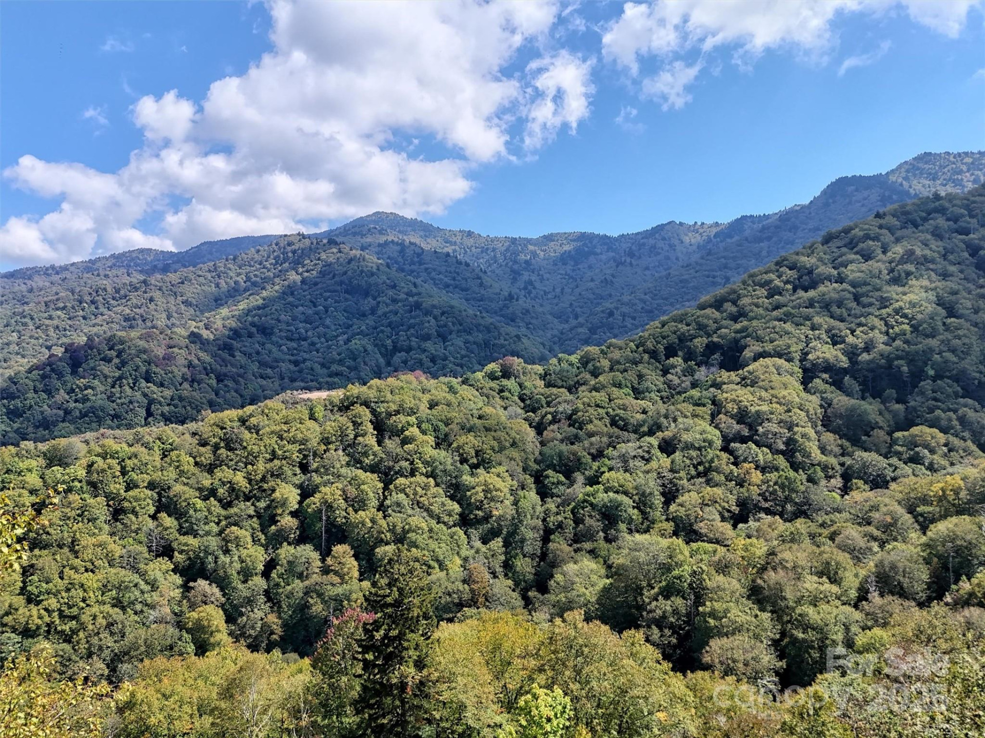 2 Black Rock Road - Photo 8