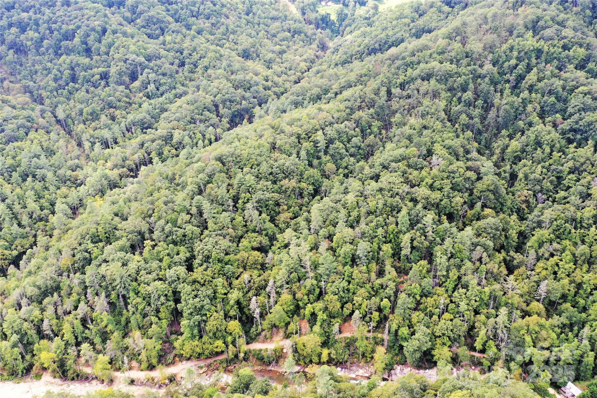 999 Hardison Falls Trail - Photo 2