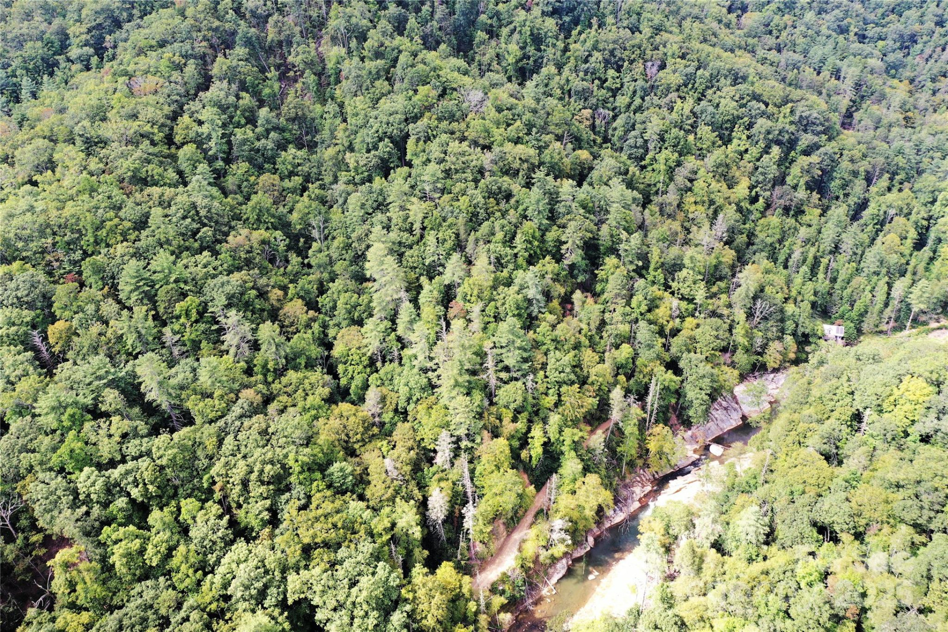 999 Hardison Falls Trail - Photo 11