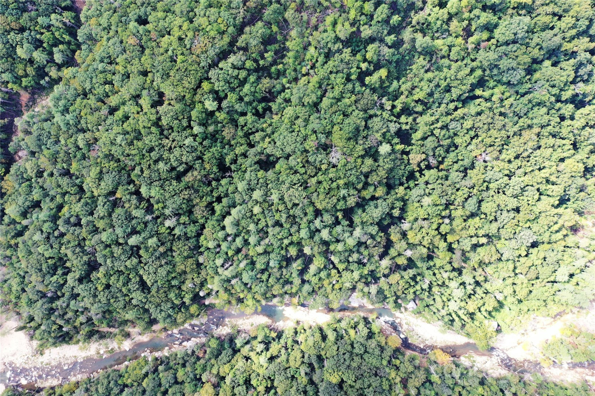 999 Hardison Falls Trail - Photo 12