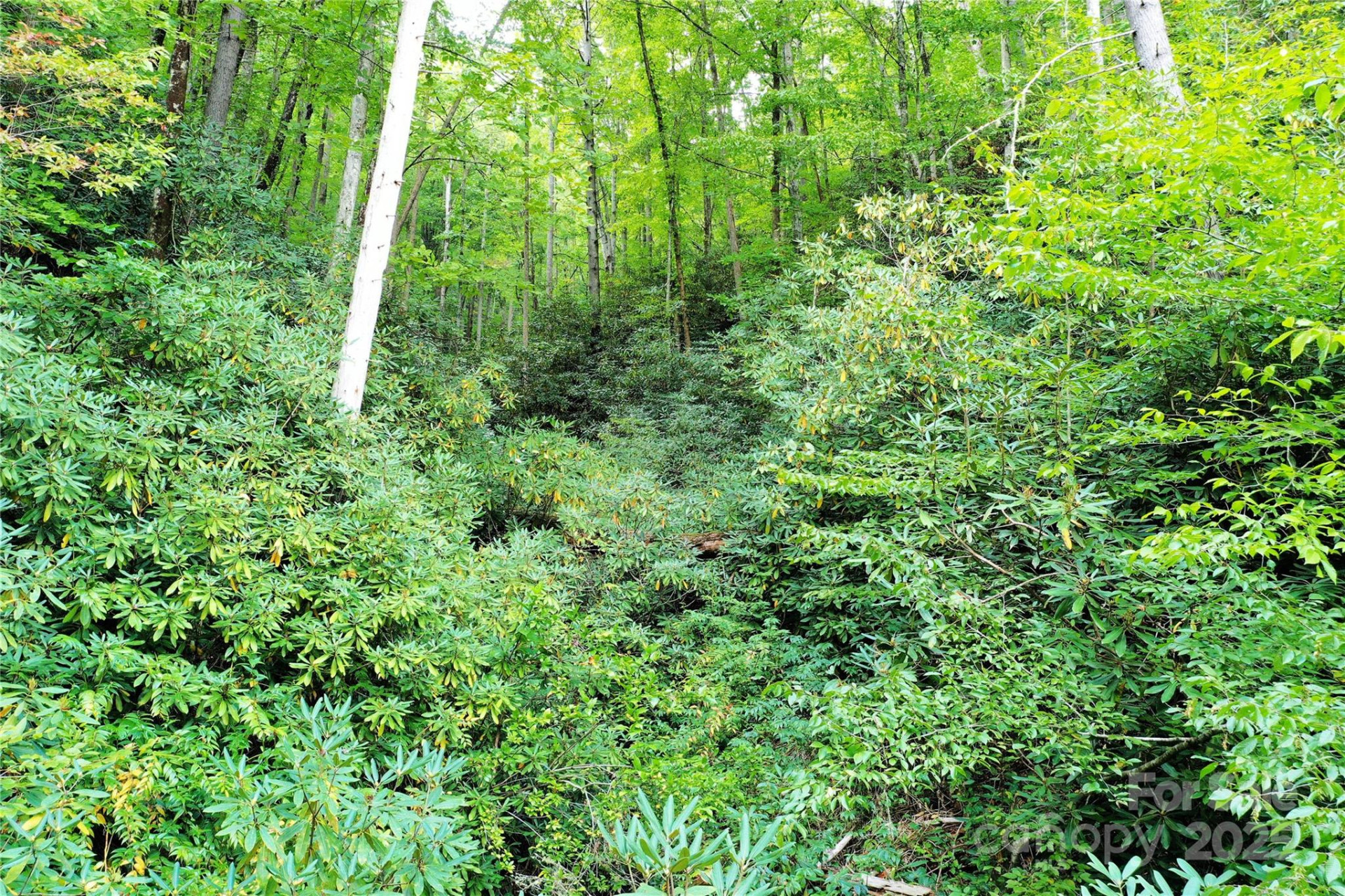 999 Hardison Falls Trail - Photo 13