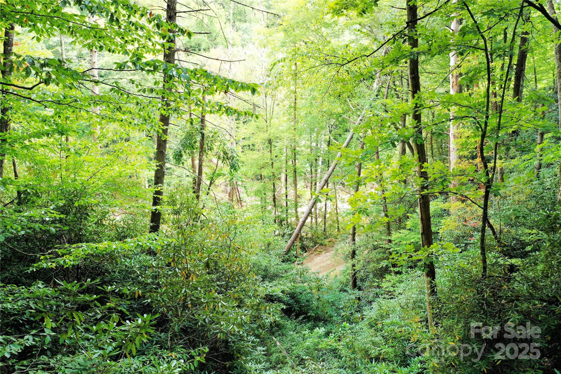 999 Hardison Falls Trail - Photo 15