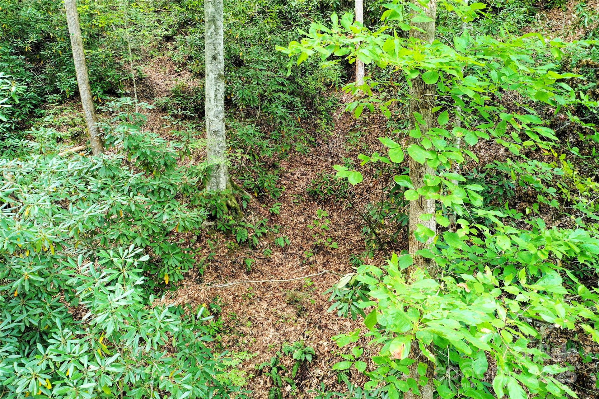 999 Hardison Falls Trail - Photo 16