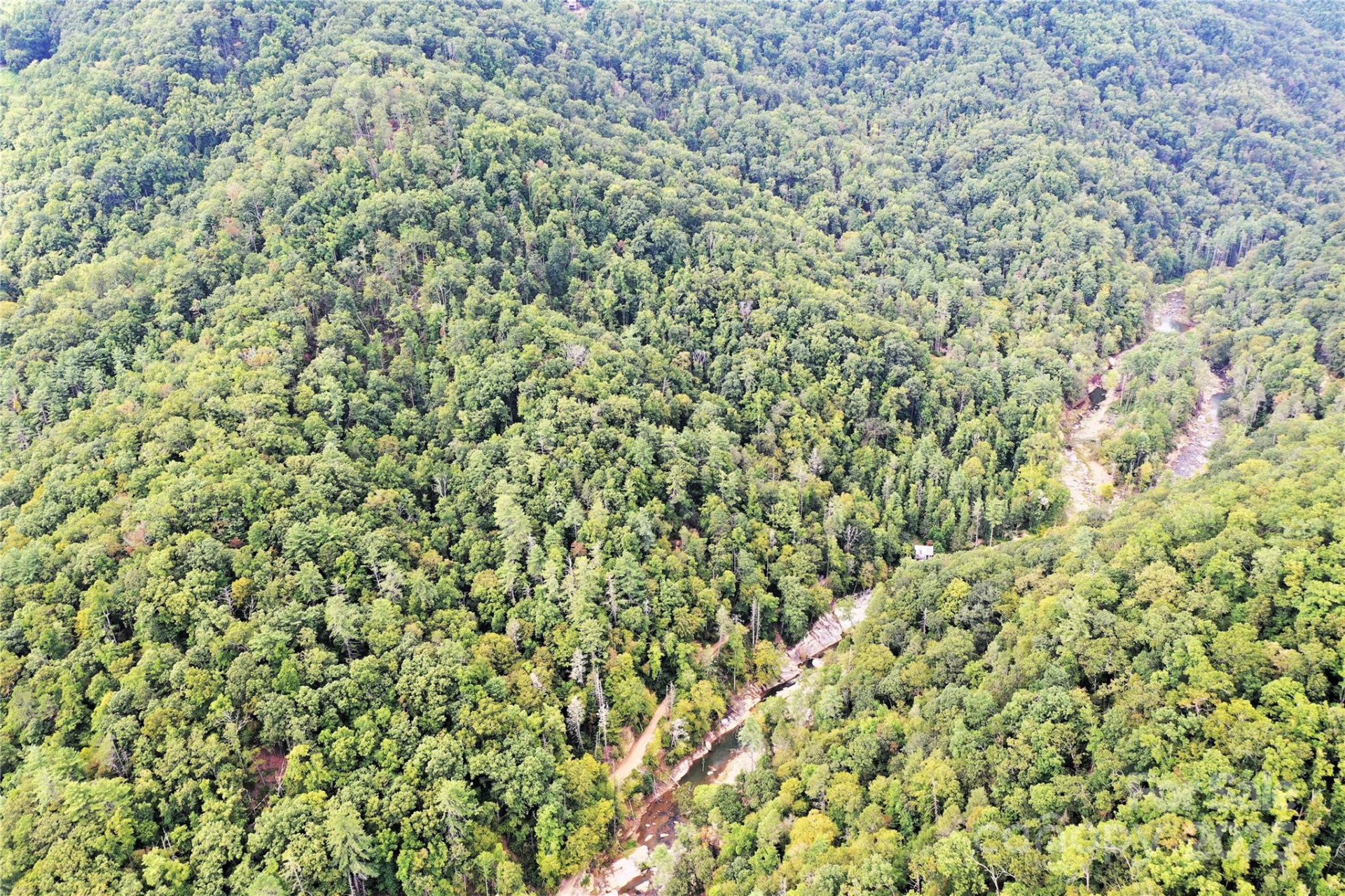 999 Hardison Falls Trail - Photo 3