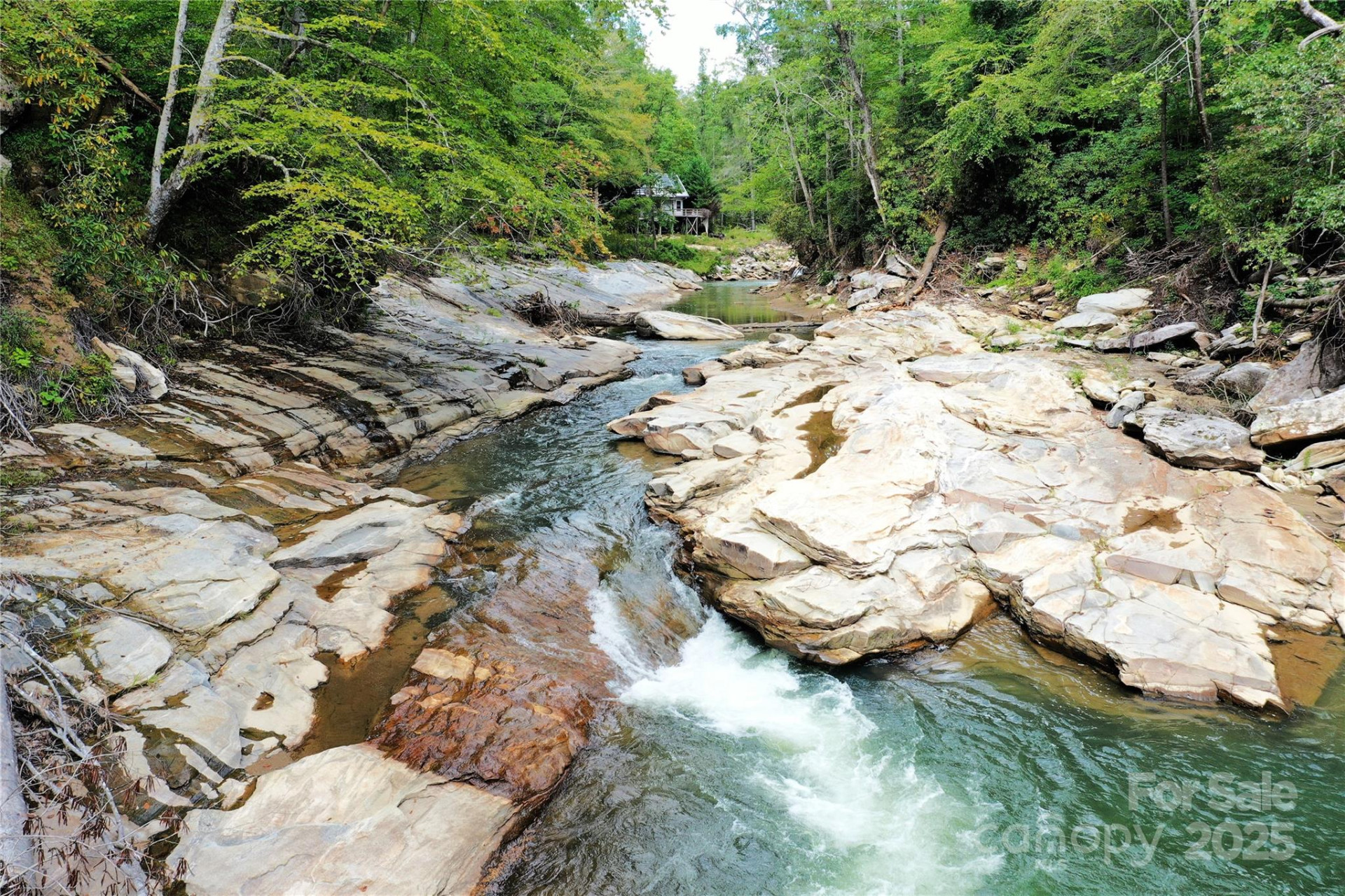 999 Hardison Falls Trail - Photo 6