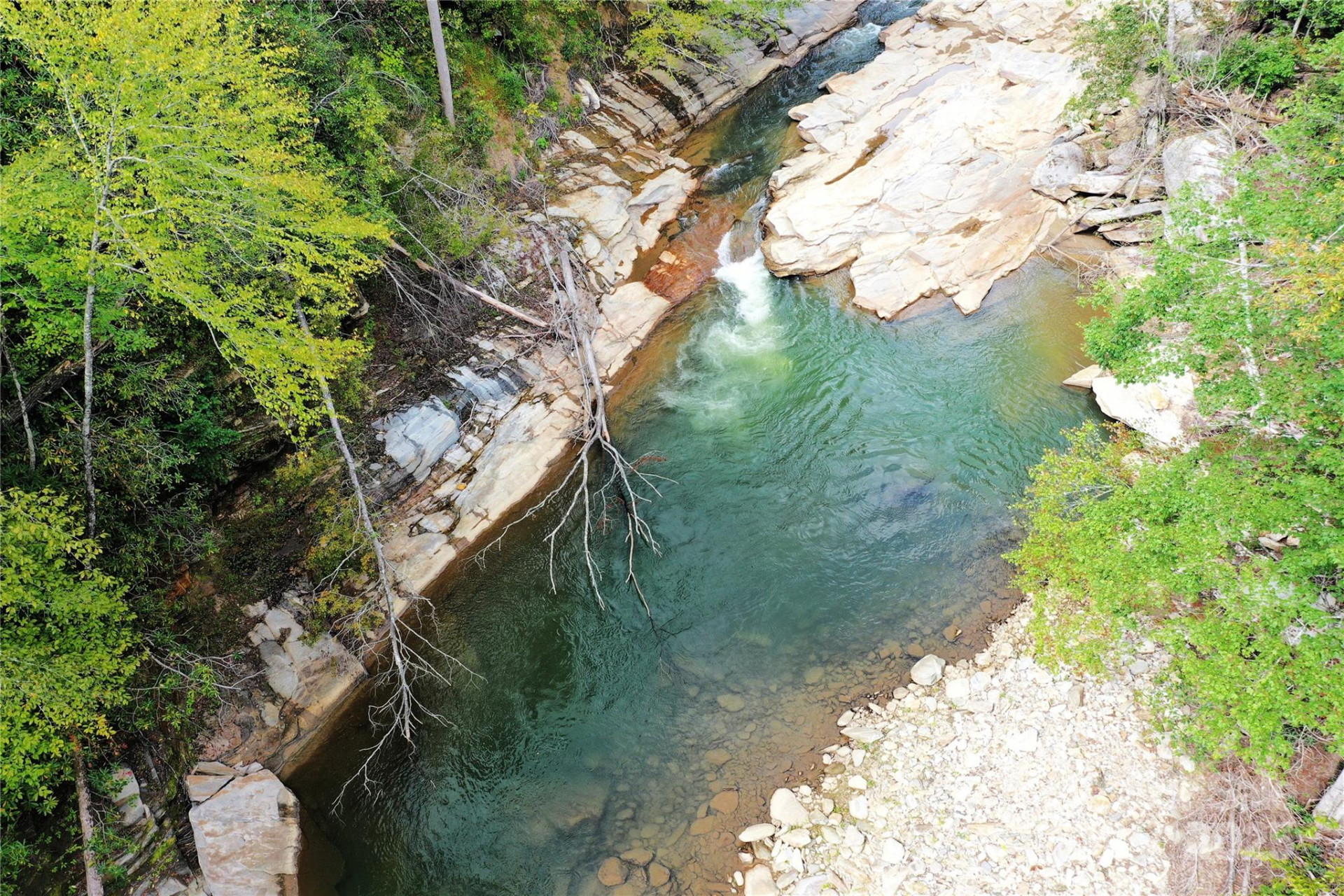 999 Hardison Falls Trail - Photo 8