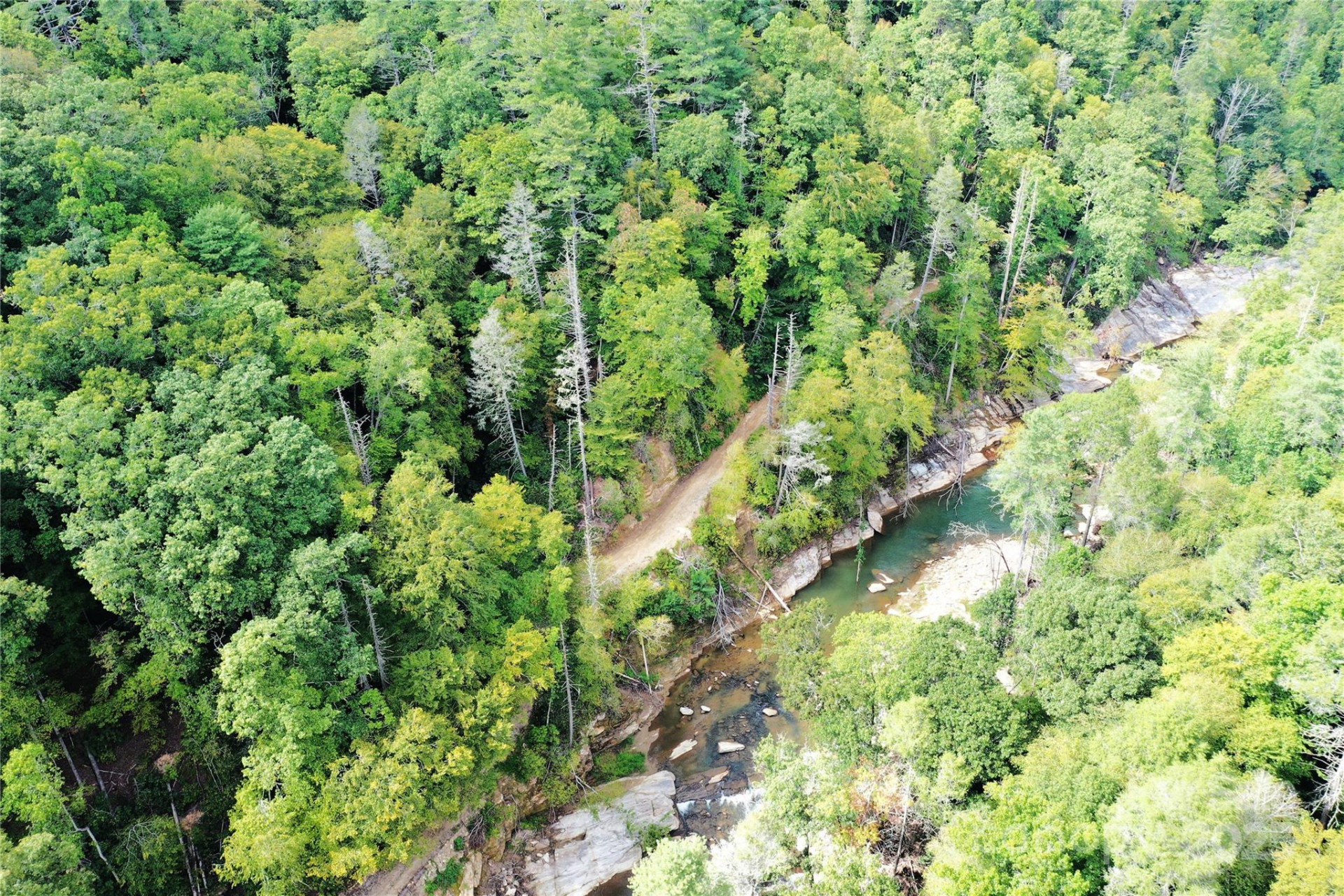 999 Hardison Falls Trail - Photo 10