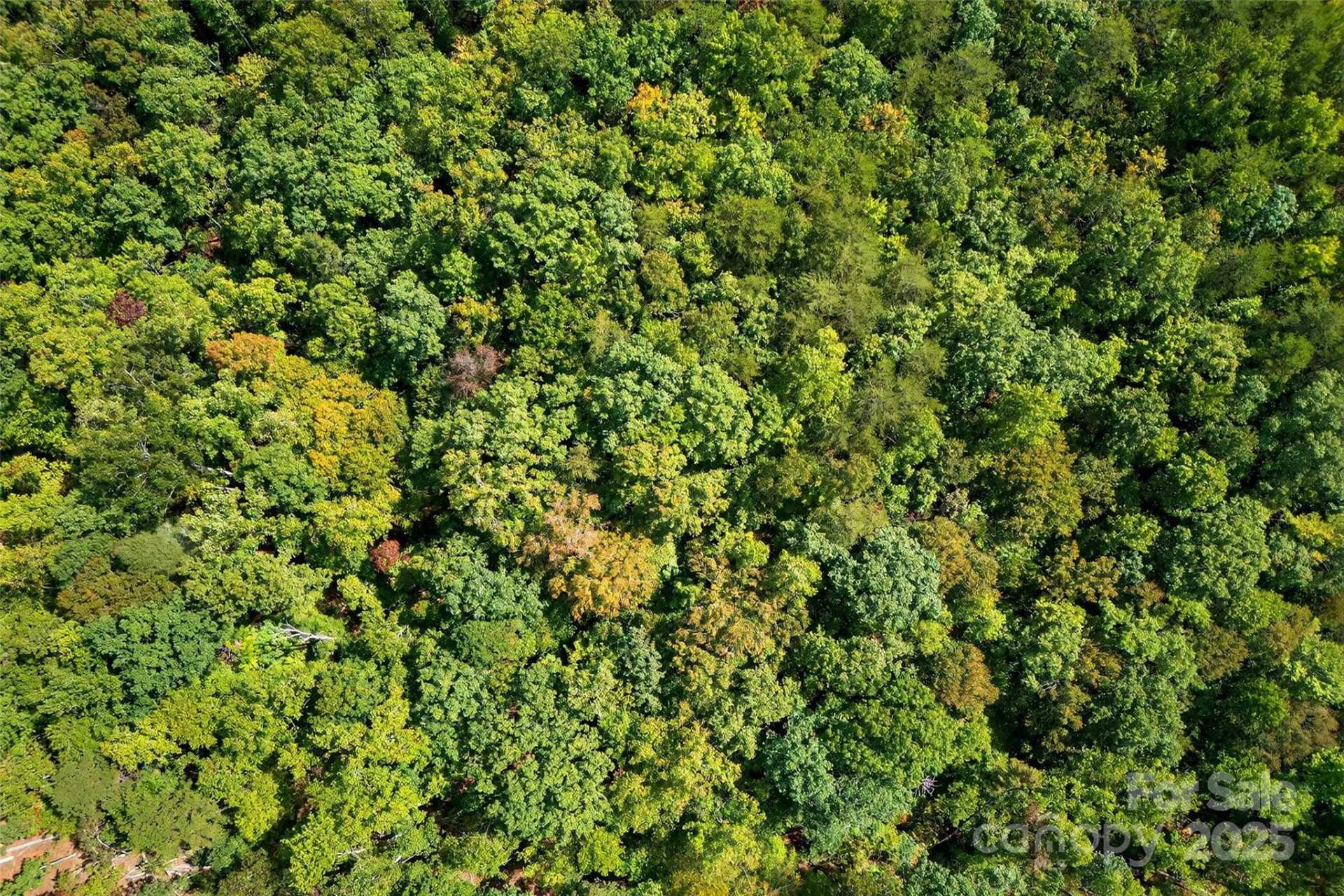 366 Boland Drive - Photo 11