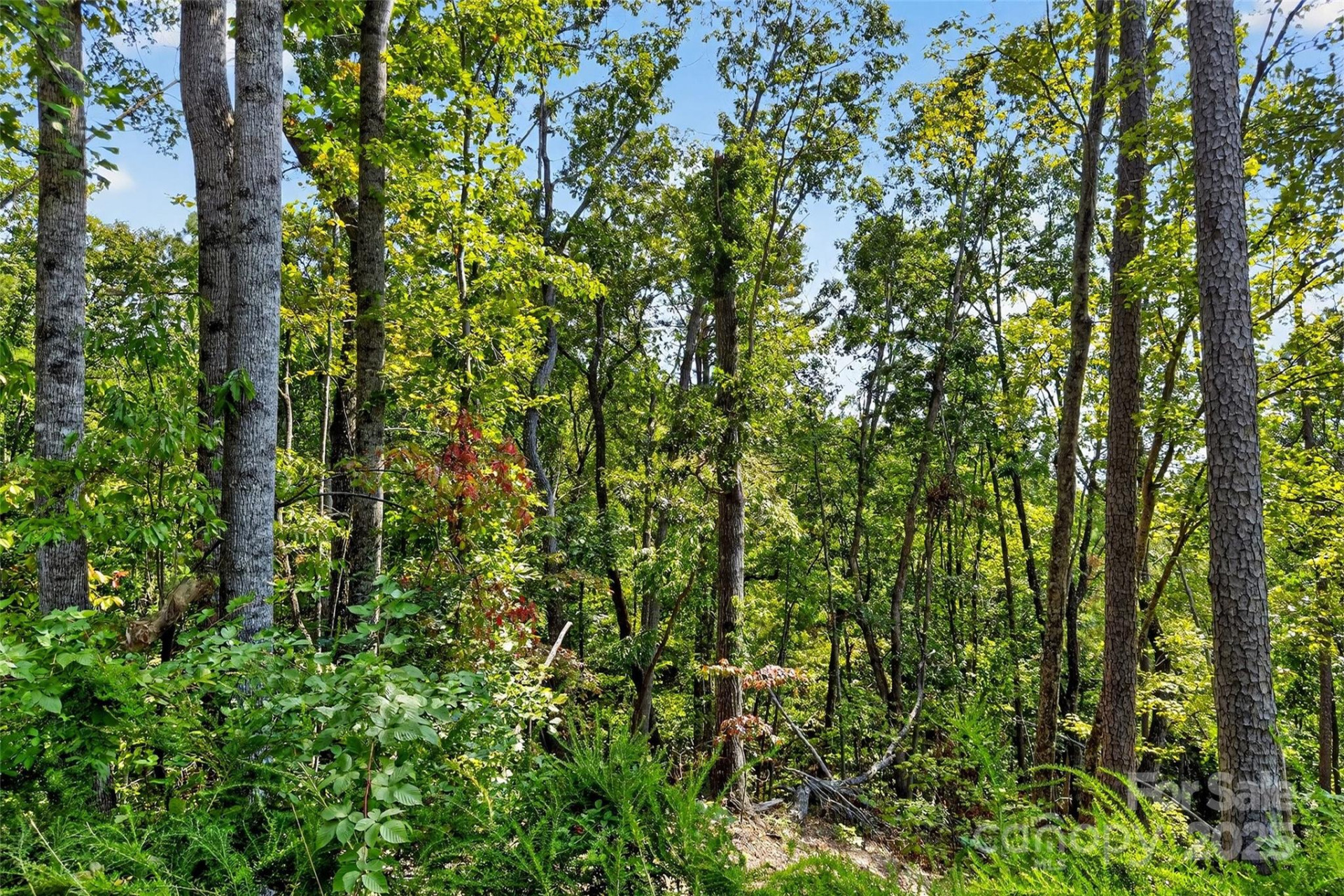 366 Boland Drive - Photo 12