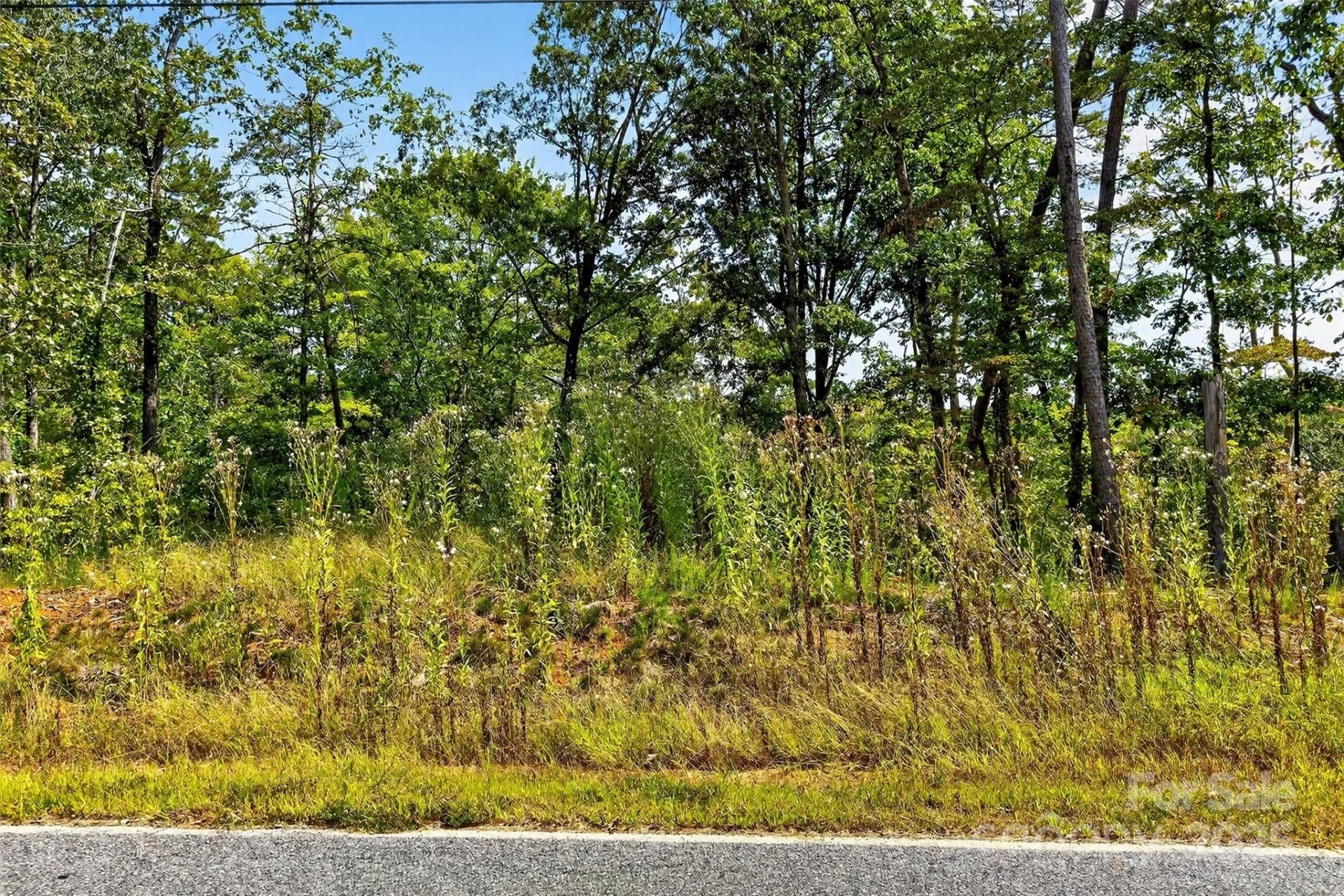 366 Boland Drive - Photo 14