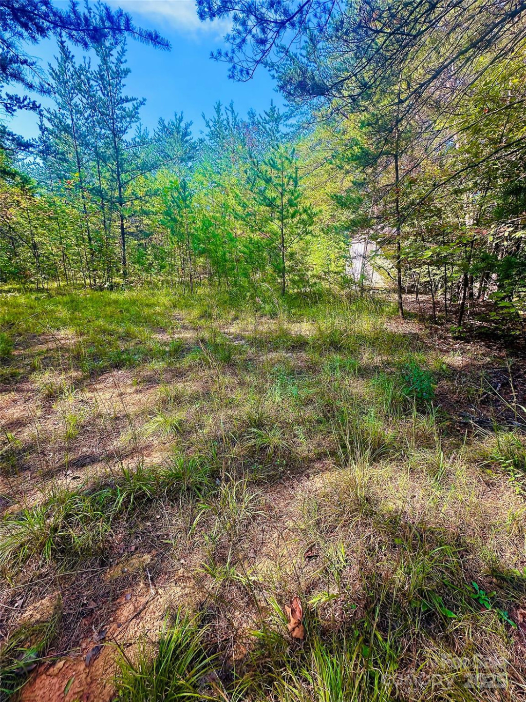 366 Boland Drive - Photo 17