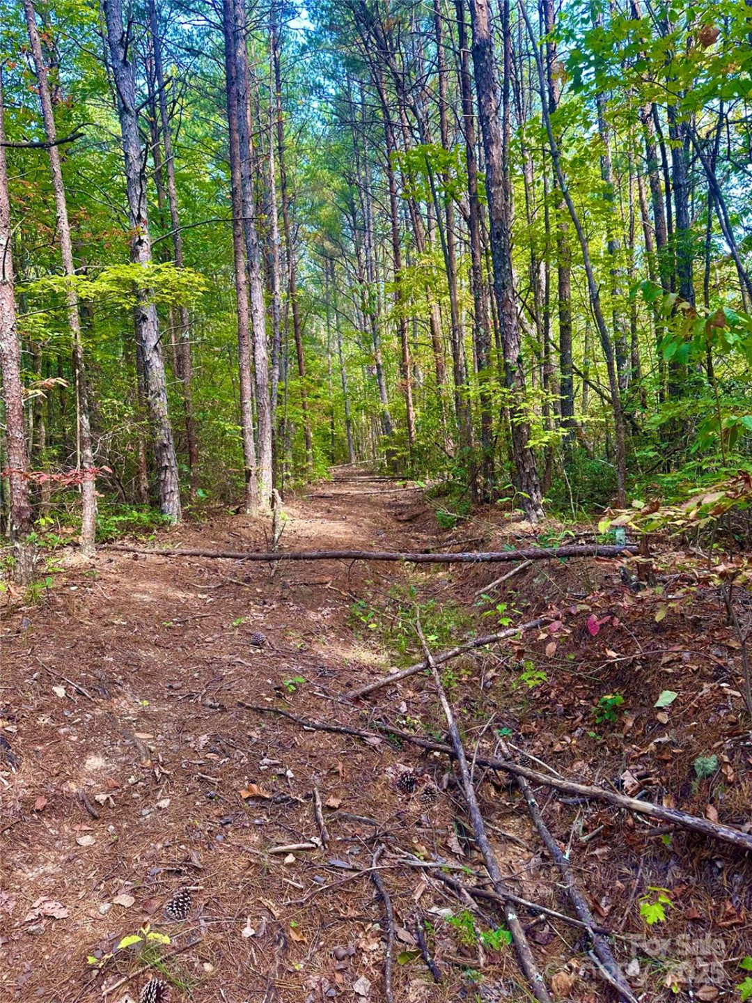 366 Boland Drive - Photo 18