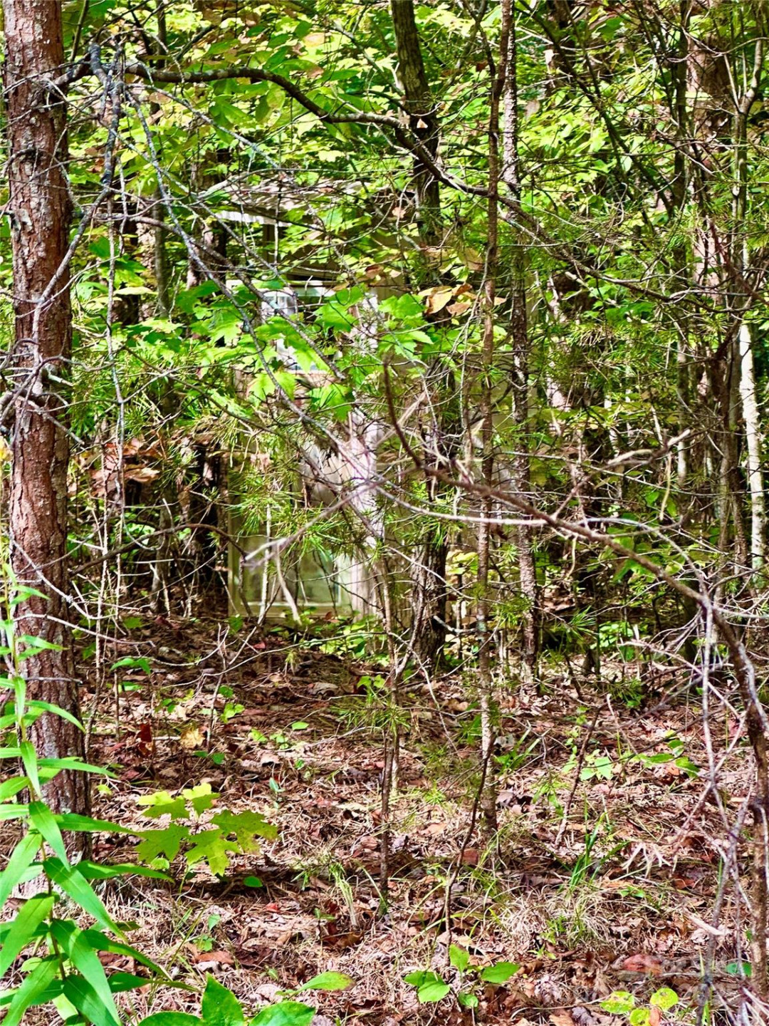 366 Boland Drive - Photo 19