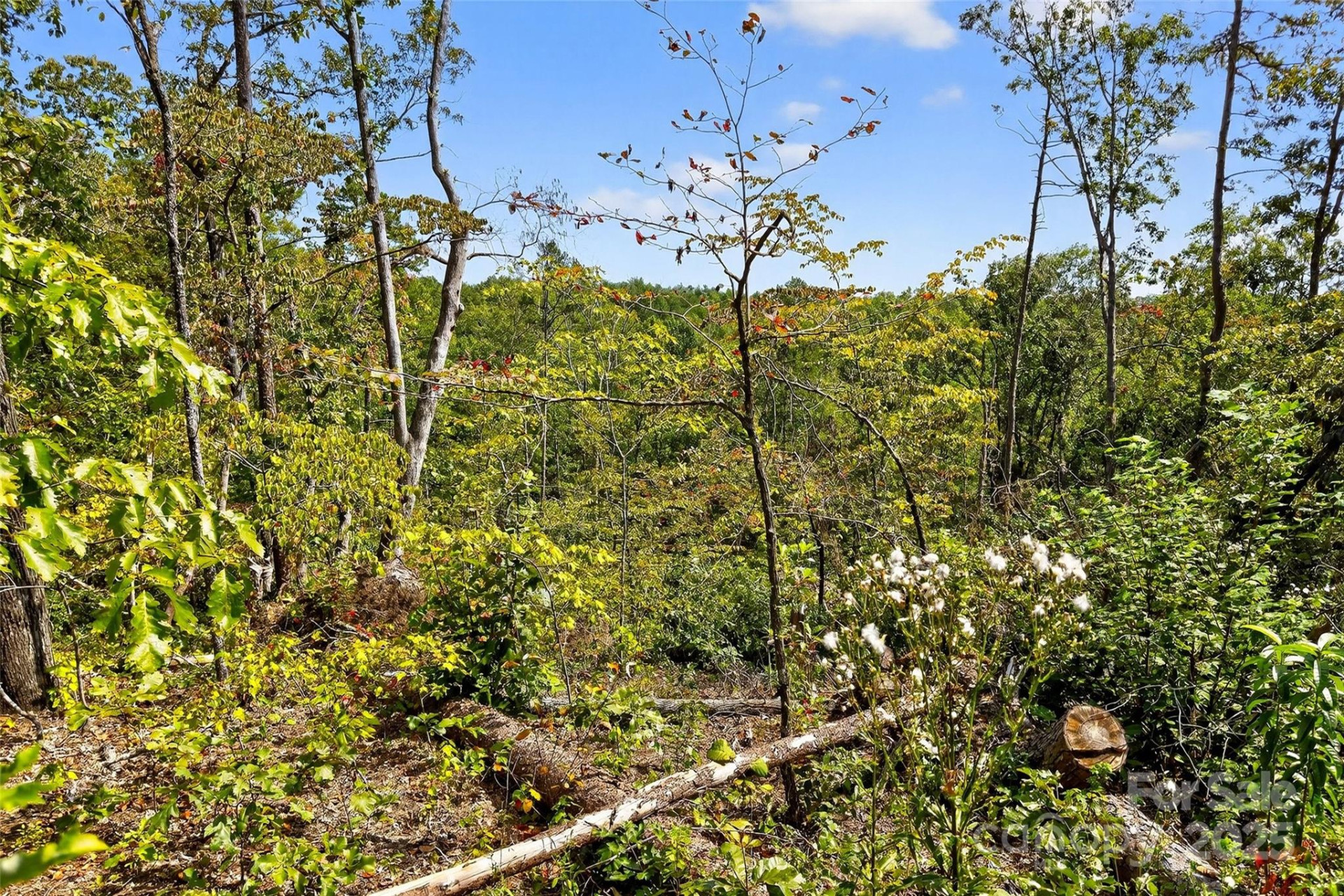 366 Boland Drive - Photo 20