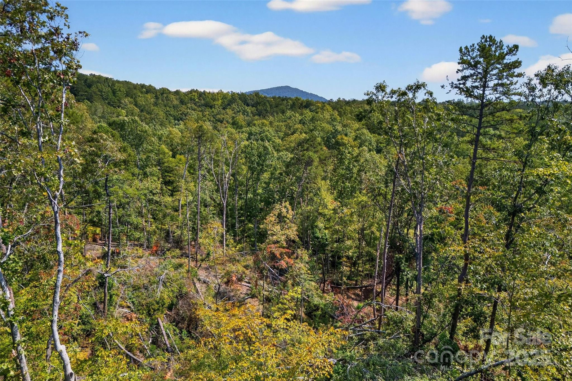 366 Boland Drive - Photo 26